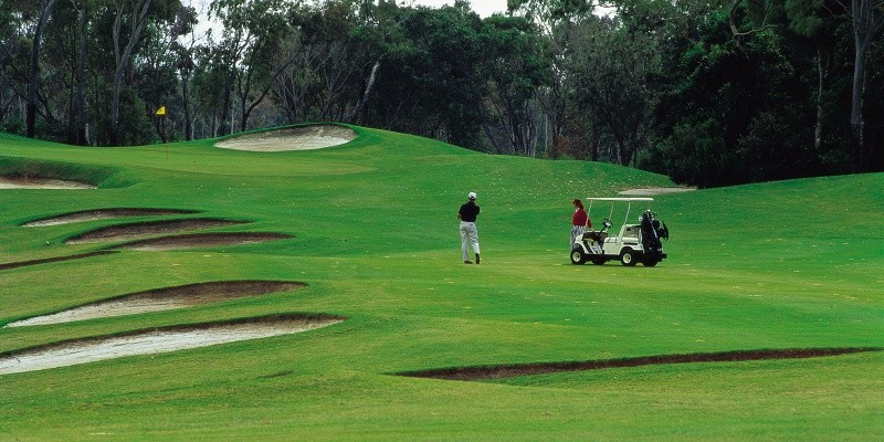 Golf Resorts, Gold Transport Minibus Noosa, Maroochydore Sunshine Coast. Minibus Charter Sunshine Coast Sunshine Coast